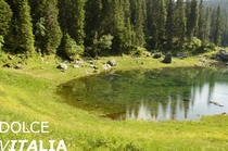 A velvet corner of lago di Carezza Italy 