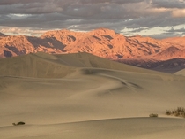 A very grainy golden-hour Death Valley National Park CA  IG TallCupOfChocolateMilk