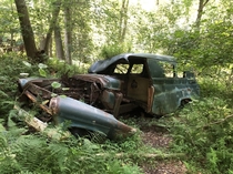 A very old truck off the trail in Allaire park NJ