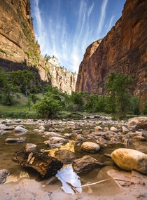 A view from the bottom of Zion National Park 
