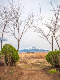 A view of Mt Fuji in early spring 