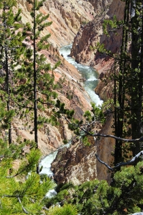 A view of the Yellowstone Grand Canyon 