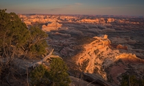 A view over canyonlands uSA 