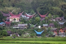 A village in Tana Toraja region Sulawesi Indonesia