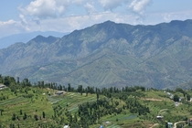 A village near Shimla Himachal India