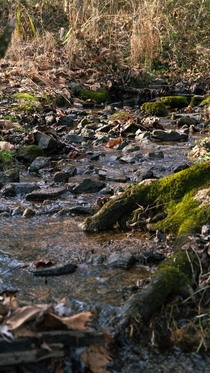 A warm little stream in Maryland USA 