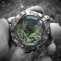 A watch that I found nature had turned it into a mini terrarium 