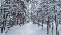 A white path - White Mountains New Hampshire 