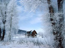 A winter-bitten cabin 