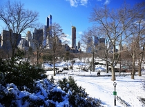 A Winter day in Central Park