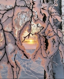 A winter frame in Finland