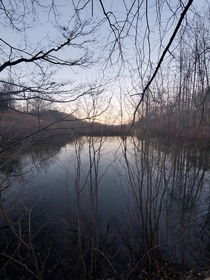 A Wooded Pond in Southwest Virginia 