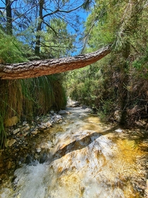 A wooden bridge over a stream Spain Ro Higuern 