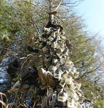 Abandonded shoe forest Link to gallery in comments
