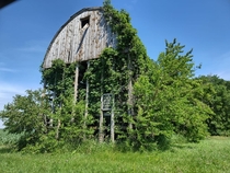 Abandoned Barn in Jackson County MN