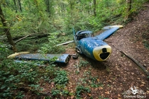 Abandoned blue plane in the woods Belgium It was brought here as a prop for a movie and was left behind 