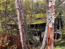 Abandoned boiler house Mercer Slough Bellevue WA