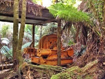 Abandoned boiler in woods - Australia 