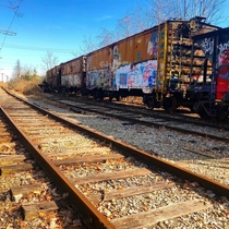 Abandoned box cars on old rails in Columbus Ohio