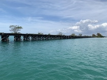 Abandoned bridge near Cape Coral Florida  x 