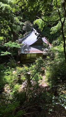 Abandoned Buddhist Temple in Japanese Forrest