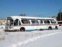 Abandoned Bus