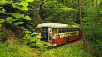 abandoned bus in a forest