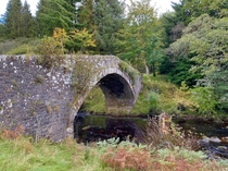 Abandoned but still functional bridge in Northumberland UK with nature fighting back
