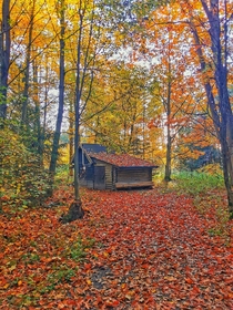 Abandoned cabin in a forest near Munich