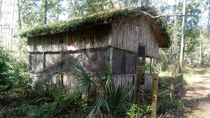Abandoned cabin in former girl scout camp now county park Florida 