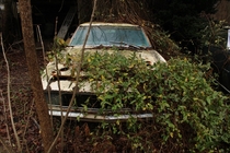 Abandoned camaro in Delaware