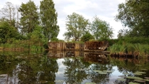 Abandoned canal lock near Szczecin Poland 