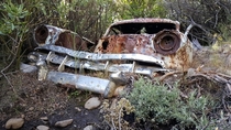 Abandoned car by Thomas Creek in Reno NV