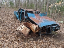 Abandoned car I found during a hike Quite far from a house or even a road