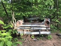 Abandoned car I found today while biking with my friend