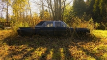 Abandoned car in the Autumn sun Rockwood Ontario
