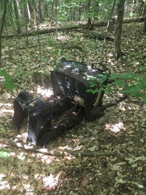 Abandoned car in the middle of the forest