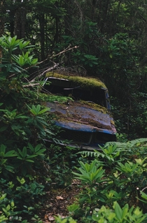 Abandoned car in WA