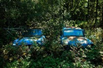 Abandoned cars in Sweden 
