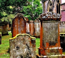 Abandoned Cemetery Shnddon Abbey Ireland