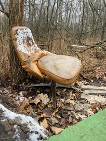 abandoned chair I found in the woods