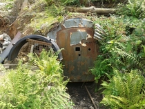 Abandoned colliery in The Forest of Dean Glouestershire 