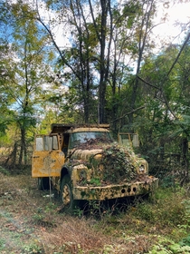 Abandoned construction truck in PA