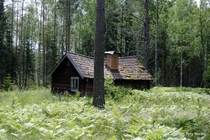 Abandoned cottage in Sweden 
