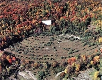 Abandoned drive-in theatre 