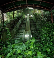 Abandoned escalator