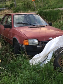 Abandoned escort near our summer cottage