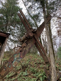 Abandoned excavator in found in Gresham Oregon 