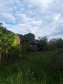 Abandoned factory near where I live nature has taken it back