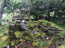 Abandoned Famine-era cottage in Sligo Ireland